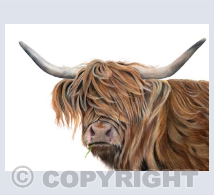 Barnyard Babes - Toffee