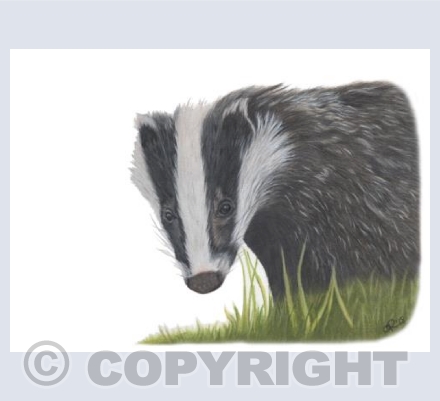 Hedgerow Honeys - Hector the Badger