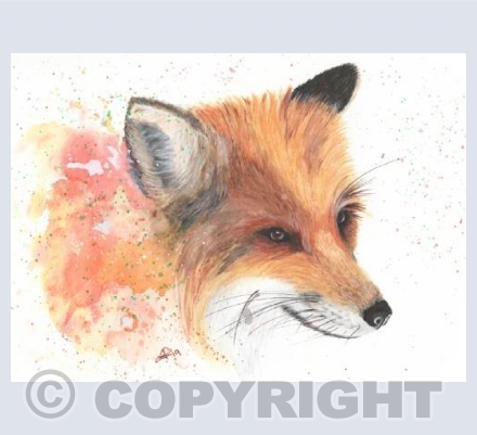Colour Splash Collection - Fox