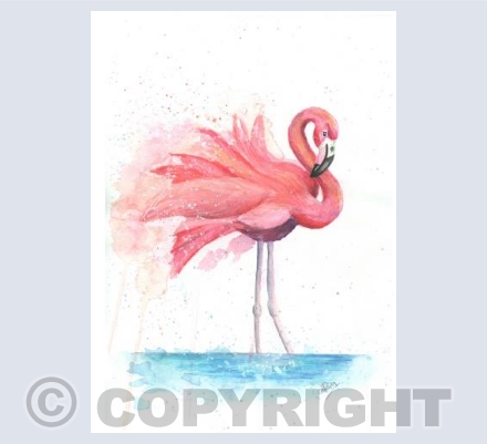 Colour Splash Collection - Flamingo