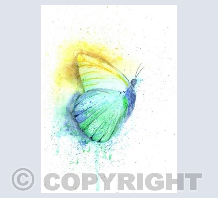 Colour Splash Collection - Butterfly