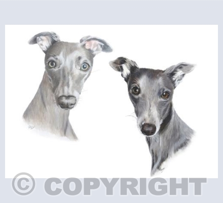 Kizzy and Blue