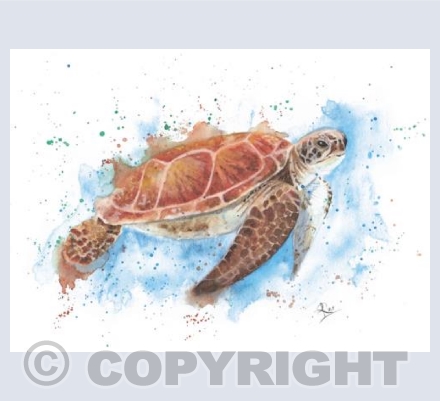 Colour Splash Sea Turtle