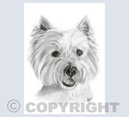 Buster the Westie