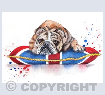 Her Majesty the Bull Dog