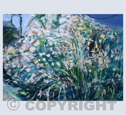 Spring cow parsley (1991)