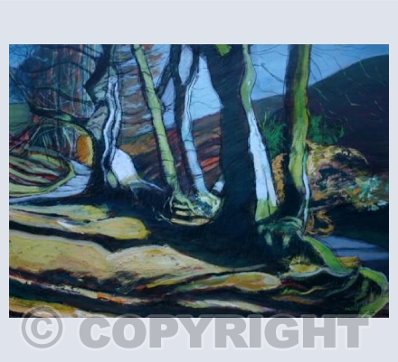 Beech trees at Priddy Pond (1988)