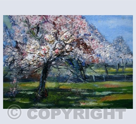 Orchard in spring (1969)