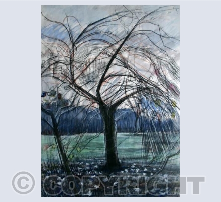 Winter Tree