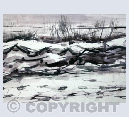 Winter Hedge, Somerset