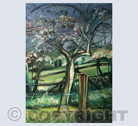 Spring Apple Blossom