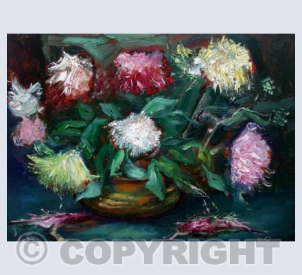 Wild Chrysanthemums