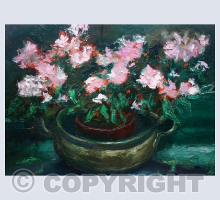Azaleas-Still life