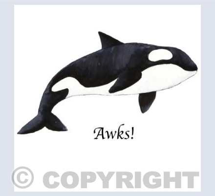 Awkward Orca