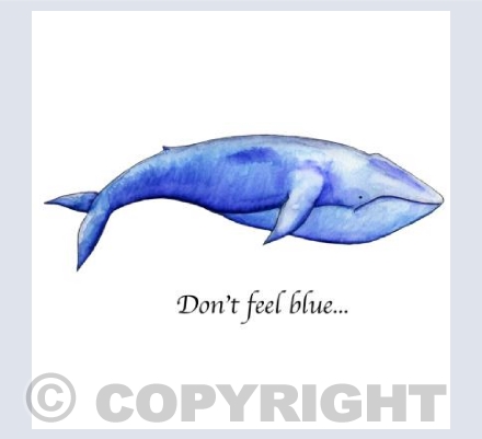 Don't feel blue