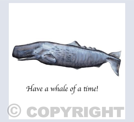 Have a whale of a time
