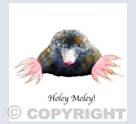 Holey moley