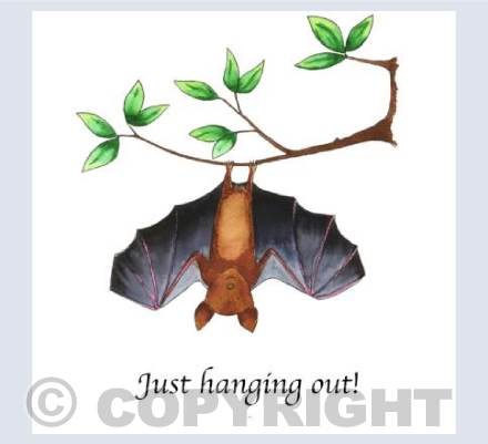 Just hanging out