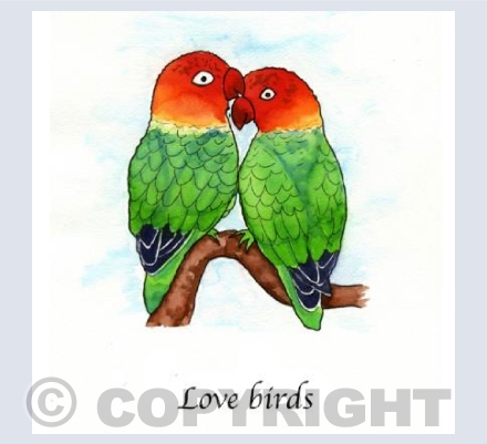 Love birds