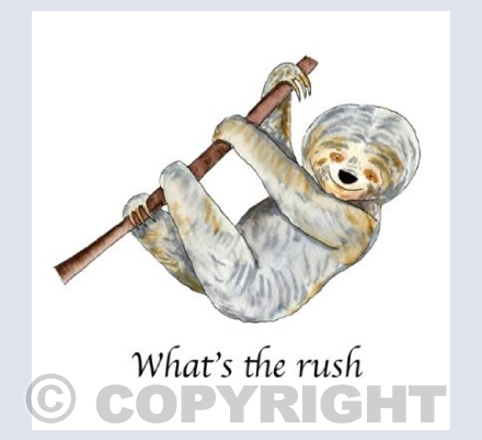 What's the rush