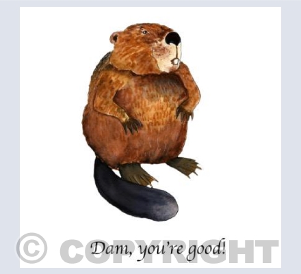 Dam, you're good