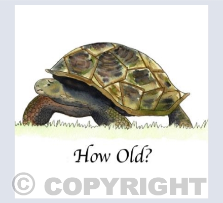 How old?!