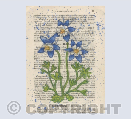 Columbine Vintage Page