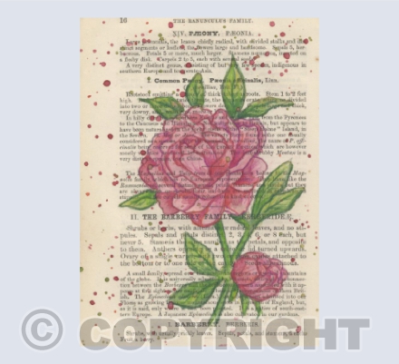 Peony Vintage Page