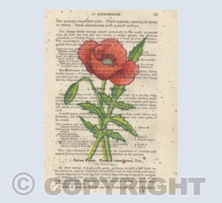 Poppy Vintage Page