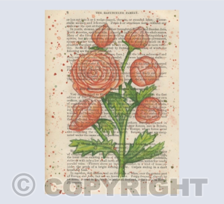 Ranunculus Vintage Page