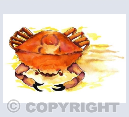 Crab