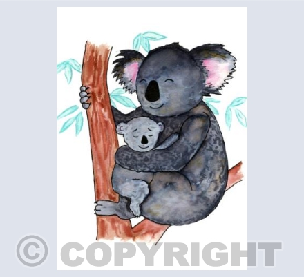 Koalas