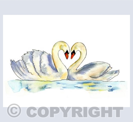 Swans