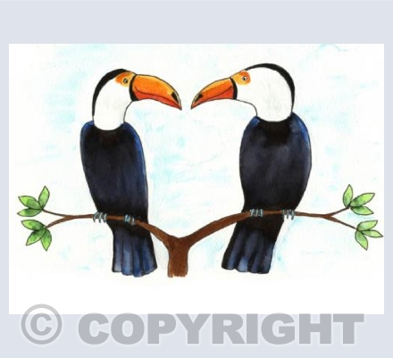 Toucans