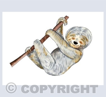 Sloth
