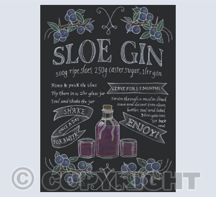 Sloe Gin 