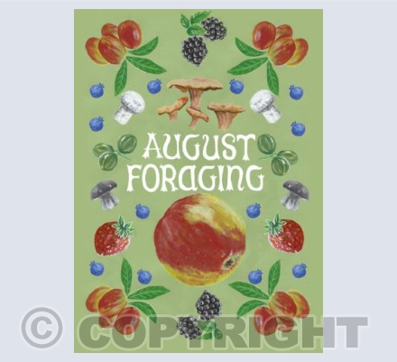 August Foraging