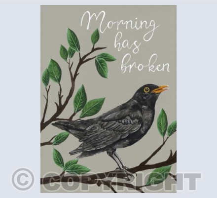 Morning has broken