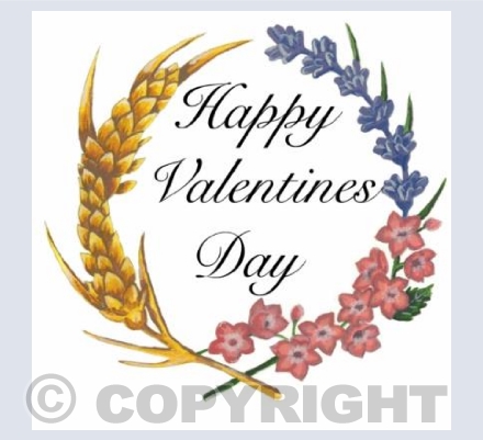 Happy Valentines Day