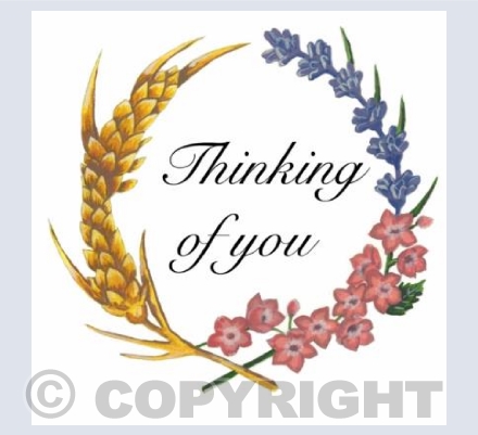 Thinking of you