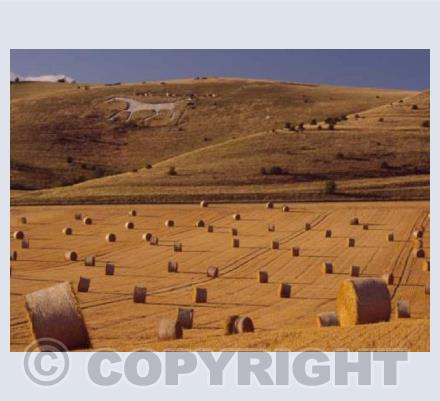 Alton Barnes White Horse