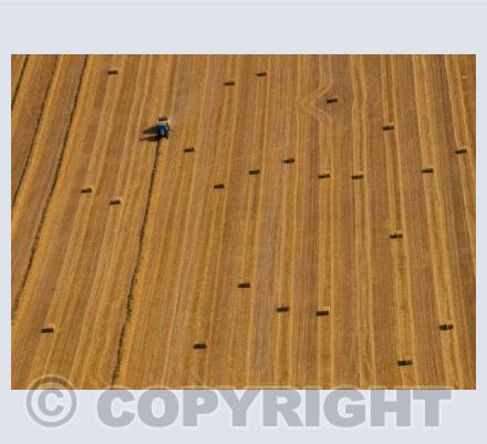 Harvest, West Kennet