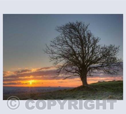 Sunrise, Windmill Hill