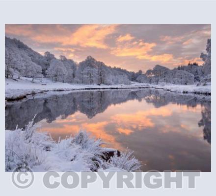 Winter Dawn