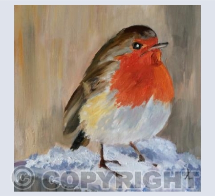 Frosty Robin