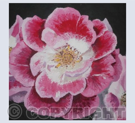 Rosa Mundi