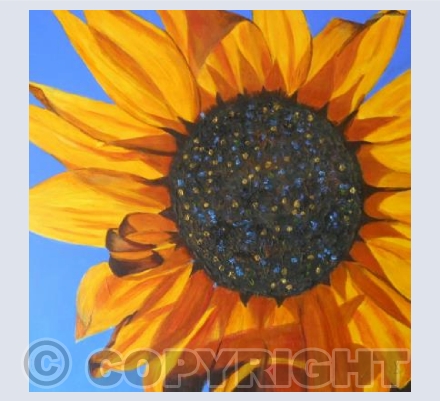 Sunlover