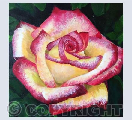 Expressive Rose