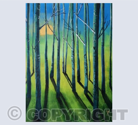 Sunrise in the forest