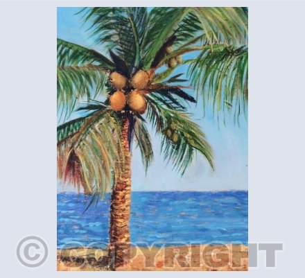 Caribbean memories